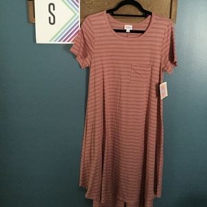 NWT LuLaRoe S Carly Dress